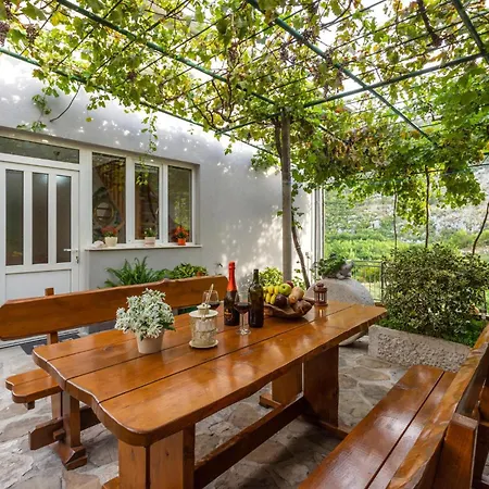 Tatil Evi In *
