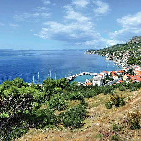 In Tatil Evi Svinisce