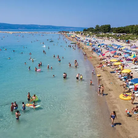 In Tatil Evi Svinisce