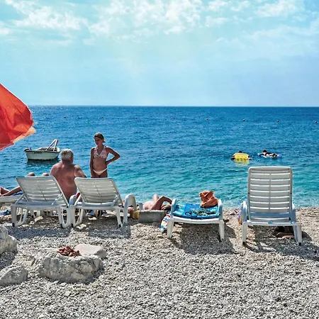 In Tatil Evi Svinisce